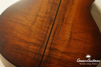 TGS2014 GSce-Koa